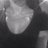 Kiss_0f_Death_'s profile image