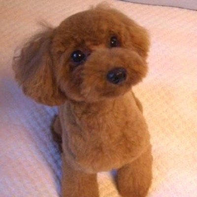 zizikt's profile picture. 起業家