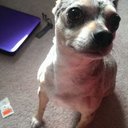 Ari Lewis - @ArioXD - Twitter