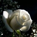 sandy vallejo - @sandychivas993 - Twitter