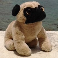 Brad Fogle (@foglebr) 's Twitter Profile Photo Brad Fogle (@foglebr) 's Twitter Profile Photo