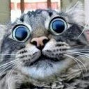 danny small - @blahhh1980 - Twitter