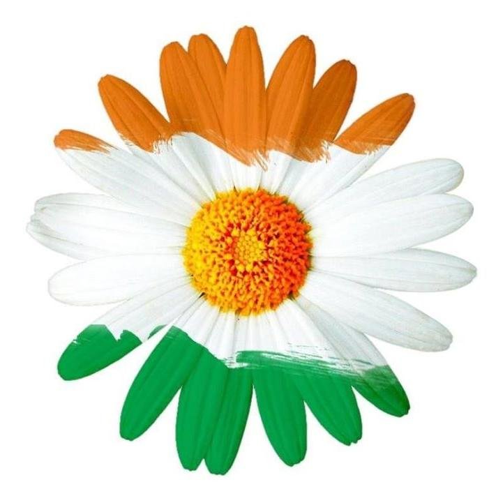 Indians_United's profile picture. 