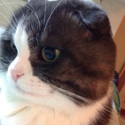 12月6日骨殺しナイト梅田クアトロ