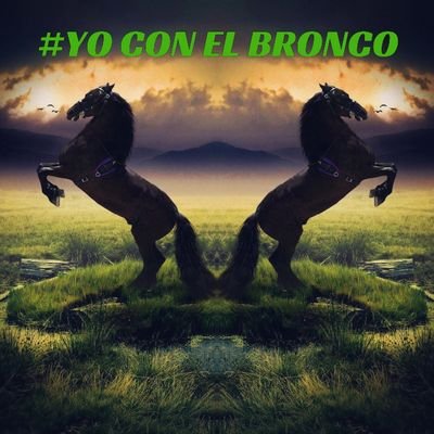 Cuenta en Apoyo a Ing Jaime Rdz El Bronco