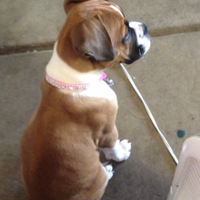 bryant477's profile picture. 