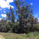 Jake Bono - @Jakeblizz76 - Twitter