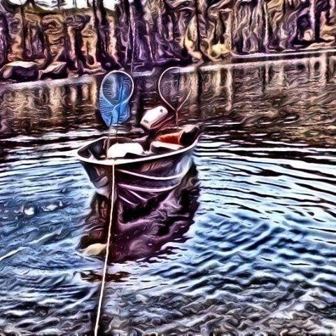 blue_ellison's profile picture. Self Employed At Fishing