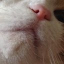 p.m - @terry_lennox - Twitter