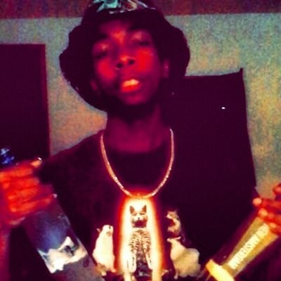 Rap career focused as young stylezfree a.k.a kid savvi Im in features with rappers like Dizzy and T-freshh trynna hold it down for the city im from.