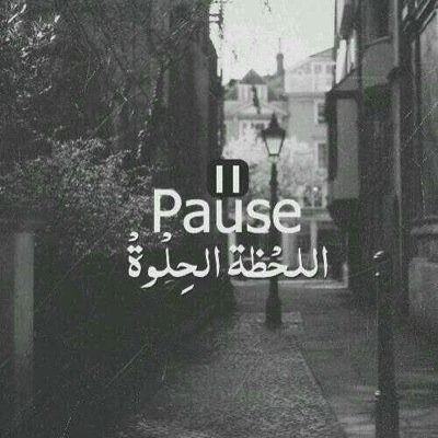 xbolbolx2020's profile picture. 