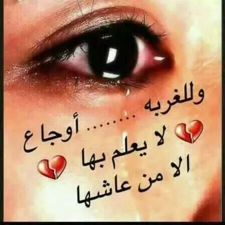 sdses91's profile picture. 