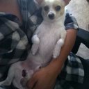 Hector Alaniz - @halaniz783 - Twitter