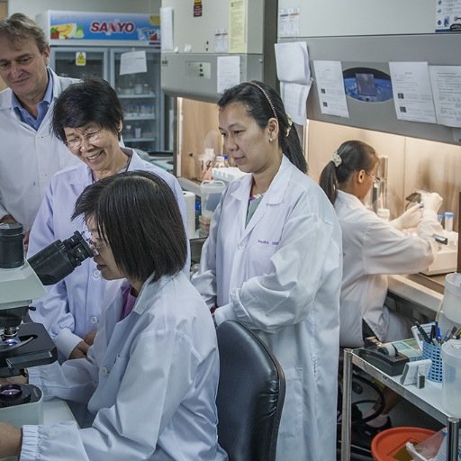 Mahidol Oxford Tropical Medicine Research Unit. We conduct research on infectious tropical diseases including malaria, meliodosis, leptospirosis and typhus
