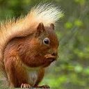 Carlos Egan - @CarlosEgan2 - Twitter