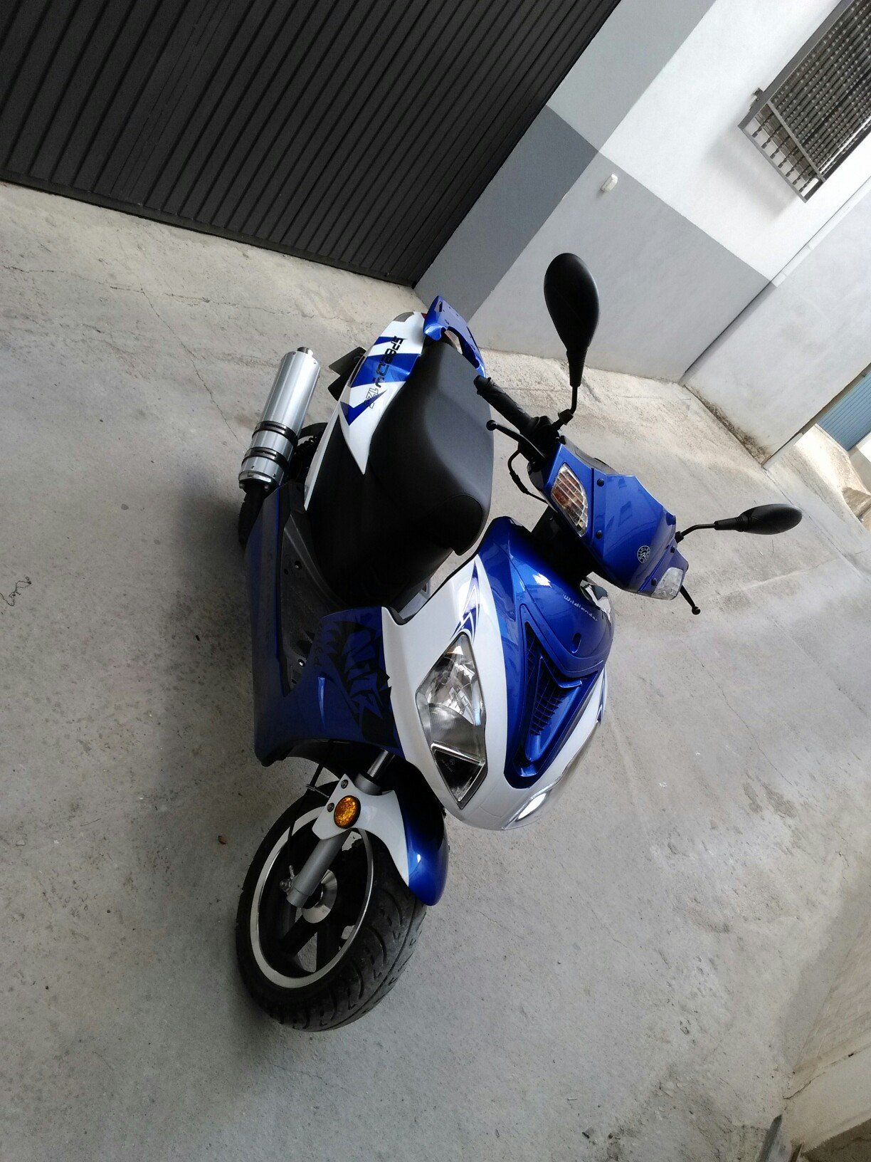 piposalmiron's profile picture. 