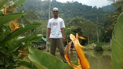 alwakzul's profile picture. insan