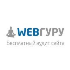 the_webguru's profile picture. Главный по аудитам