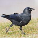 martin koster - @martinkoster3 - Twitter