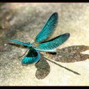 Esther Sousa - @SousiSousa - Twitter