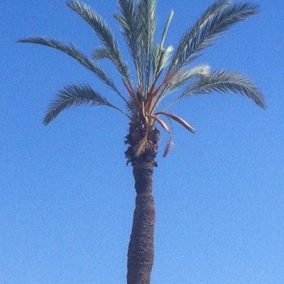 ALEXXXXOU's profile picture. Tjrs un oeil sur twitter