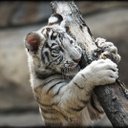 Arun Misra - @arunjmisra - Twitter