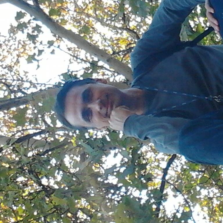 pocsaj's profile picture. 