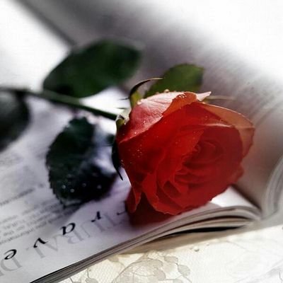 ‏‏يمكن ماكان قصدنا نحب لكن قلوبنا تروح للي تشبهها وتحس معها بالامان ياشبيه قلبي أنا والله أحبك*