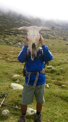 Trampejant com puc, llegint quan tinc un moment i escrivint ressenyes al blog Especulacions d'un Neanderthal, quan hi penso.