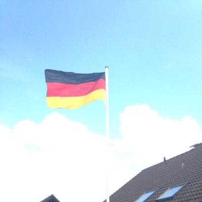 ardischoll's profile picture. 