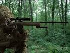 i love playing CoD, watching Anime, and Watching FaZe Clan