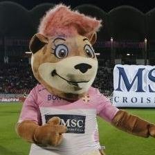 Compte parodique de la mascotte de l'eTG FC