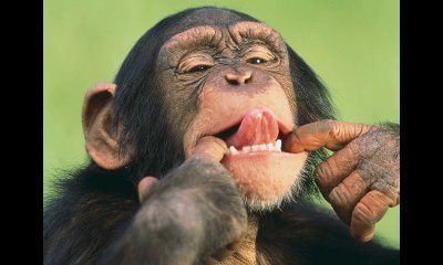 cotpah's profile picture. 