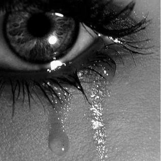 «Le plus important si on a un rêve, c'est d'y croire» #teamfollowback