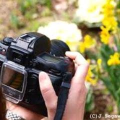 好きな写真を毎日ツイートします。カメラが好きならＲＴしてあげ下さいね。自動で１万フォロワーと毎月1万円の副収入が手に入るツイッターツールの無料プレゼントはこちら↓