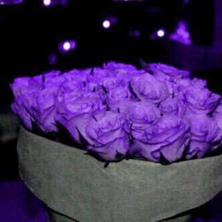 ‏ﻗﺪ ﻗﺂﻟﻮﺍ ﺍﻟﻌﺂﺷﻖ ﺧﻔﻮﻗﻪ ﺩﻟﻴﻠﻪ 
وﺍﻧﺂ ﺧﻔﻮﻗﻲ ﻃﺂﺡ ﻓﻲ ﻛﻒ ﻳﻤﻨﺂﻙ
وﺍﻥ ﮔﺂﻥ ﻗﺮﺑﻚ ﻳﺴﺘﻔﺰ ﺍﻟﻘﺒﻴﻠﻪ 
ﻣﺂﻫﻤﻨﻲ ﻟﻮ ﺗﺰﻋﻞ ﺍﻟﺨﻠﻖ ﻟﺮﺿﺂﻙ