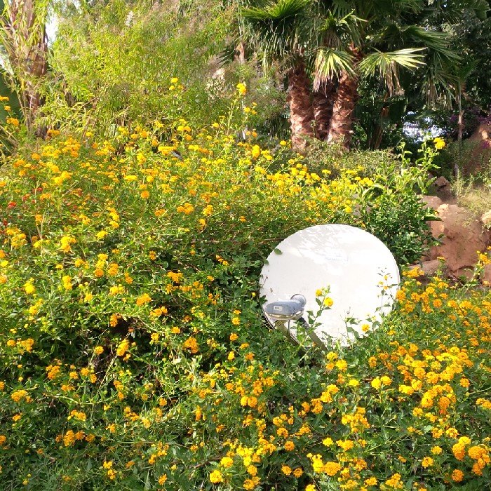 UBITOO's profile picture. Comunicazione un diritto,Internet una maniera di comunicare, noi togliamo le frontiere, portiamo il mondo a casa tua con ADSL satellitare.