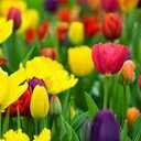 Sharon Anne Evagorou - @EvagorouAnne - Twitter