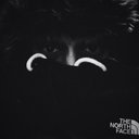 Dave Jaques - @dvejqs - Twitter