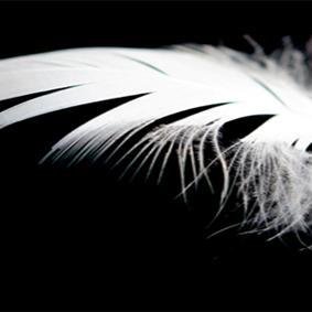 my1whitefeather's profile picture. A gorgeous online emporium stocked with items sourced from small businesses, artists and crafts people