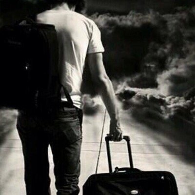 majed_828's profile picture. 