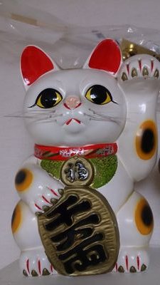 猫が好きだから。