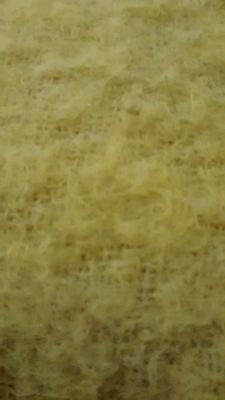 ahomame's profile picture. Cicelytarra