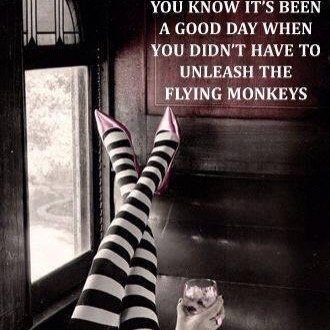 NewFriendChestr's profile picture. 