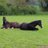 FerrisCheryl's profile image