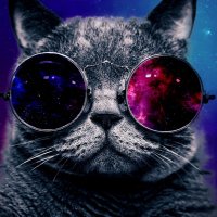 AUB Cats (@aubcats) 's Twitter Profile