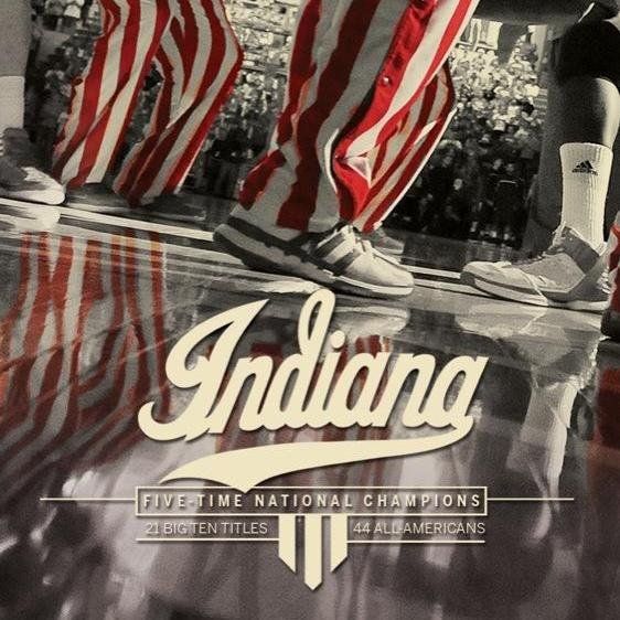 dbanet's profile picture. 