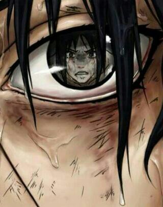 danielzamoran11's profile picture. One Piece, Fairy Tail, Naruto, Haikyuu y Free!.                               Trafalgar Law, Gray Fullbuster, Kakashi Hatake, Sasuke Uchiha y Kageyama