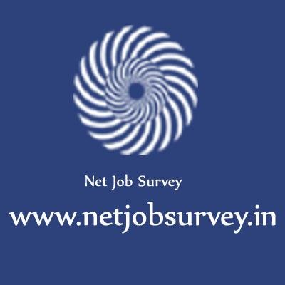netjobsurvey's profile picture. 