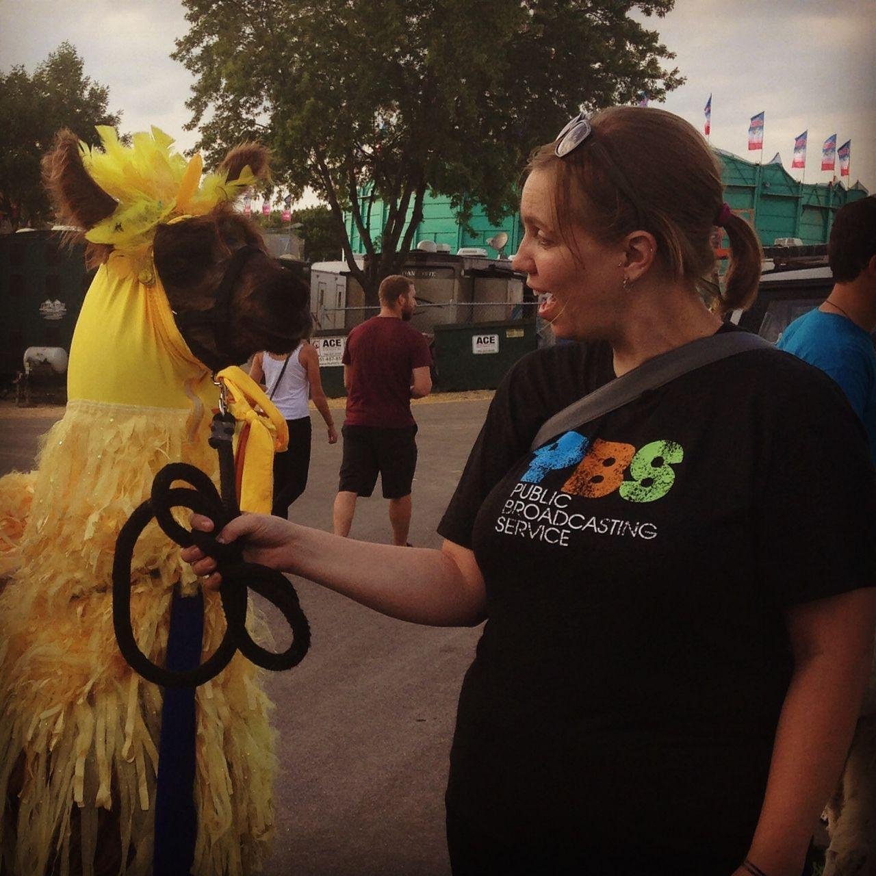 Nerd for learning. Finder of fun. Director of Education at Twin Cities PBS. Tweets my own. Pronouns: she/her